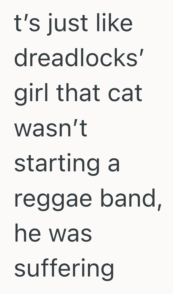 Screenshot 2025 05 21 at 11.13.43 AM Their Sister Refused To Groom Her Cat Properly, So They Intervened And Were Blamed For Overstepping